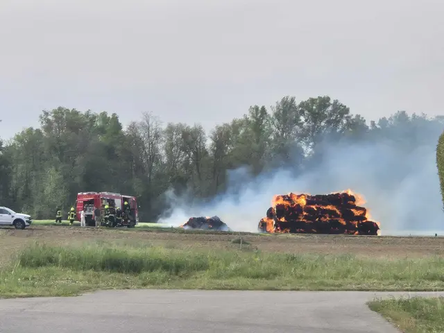  die Strohballen im Vollbrand | Foto: ©FF Walpersbach