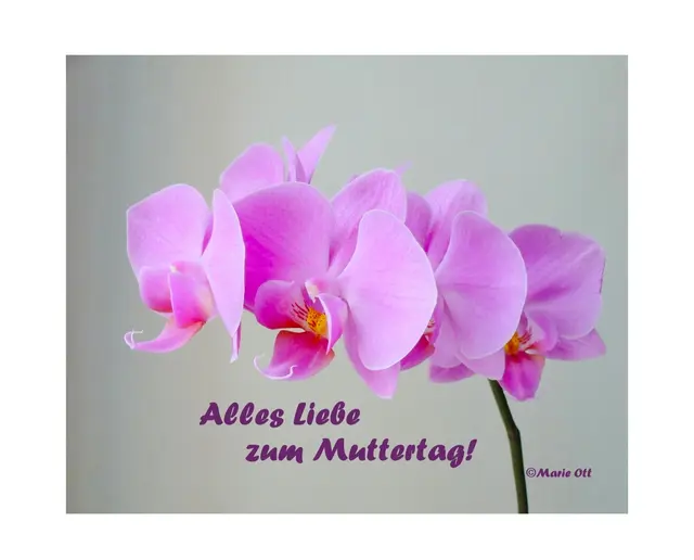Gedicht, Muttertag