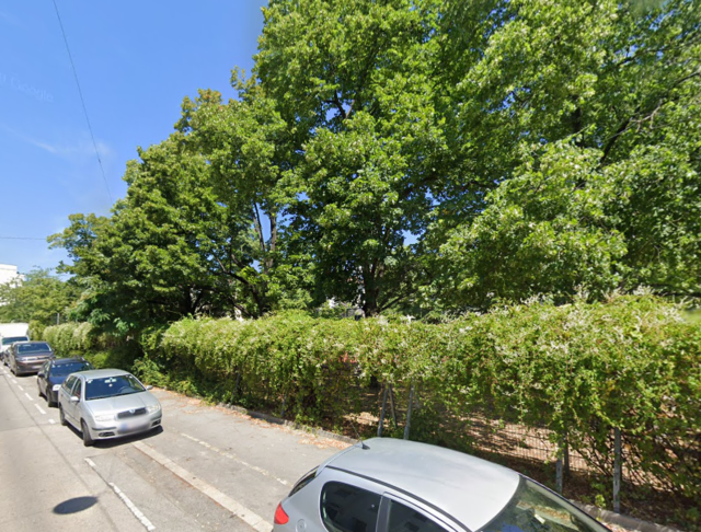 In diesem Hernalser Park fiel ein Baum aus heiterem Himmel um und verletzte eine 31-Jährige schwer. (Archiv) | Foto: Screenshot Google Maps