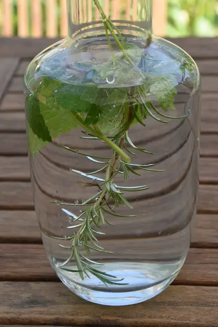Mit Rosmarin und Melisse aromatisiertes Wasser. | Foto: Mirjam Preineder