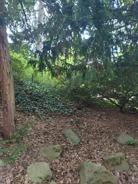 Da ist tatsächlich ein Eichhörnchen zu finden
