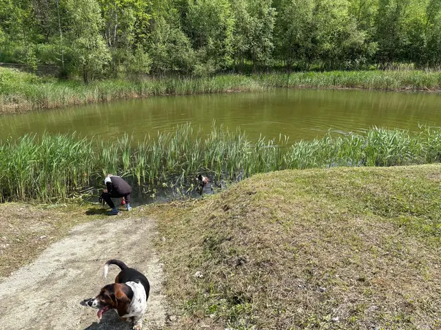 Angst vor einem Hundehasser geht in Köflach um