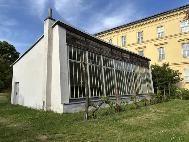 Das Dewächshaus im Park des Kardinal König Hauses ist vom Umbau nicht betroffen. | Foto: Mathias Kautzky/MeinBezirk