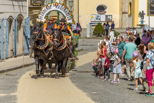 Der Brauereiwagen des Pferdehofs Hagenhofer sorgte für Begeisterung.  | Foto: Richard Mayr