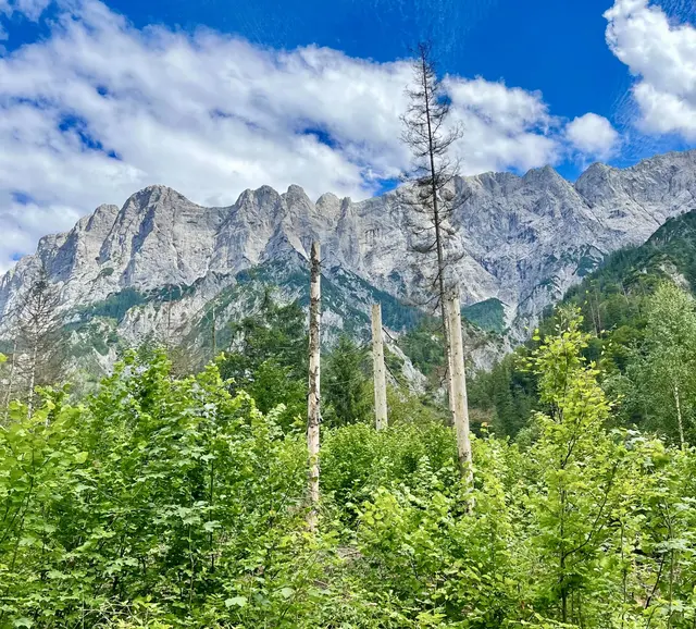 Der Nationalpark Gesäuse zählt zu den bedeutendsten Naturräumen Österreichs. Nun stellt die Landesregierung die Finanzierung sicher. | Foto: Land Steiermark/René Kronsteiner
