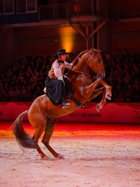 Ab 14. Mai dreht sich in der Welser Messe wieder alles rund ums Pferd. | Foto: Michael Graf