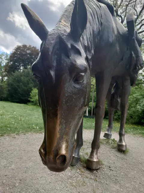 Park mit Höhenmetern und Brücken