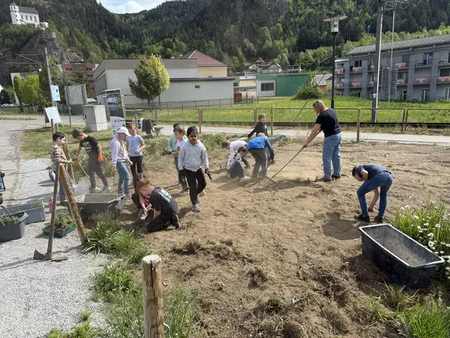 Die Kinder haben das Unkraut gezupft, neue Pflänzchen gesetzt und ordentlich gegossen.