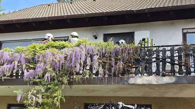 Foto: Bfkdo Amstetten / FF Zell