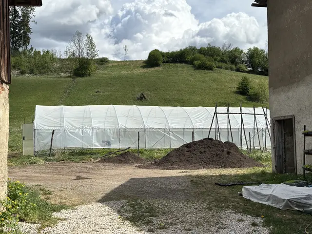 Foto: MeinBezirk/Astrid Moder