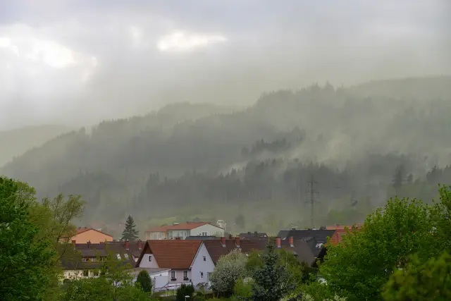 Die Pollen ziehen über die Wälder.