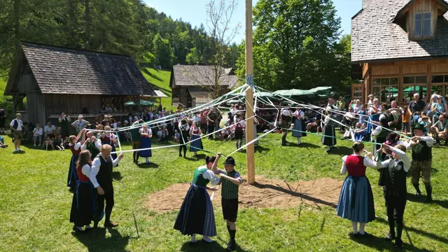Beim Bandeltanz bewegen sich zwölf Paare mit jeweils zwei farbigen Bändern rund um den Baum und flechten mit verschiedenen Tanzfiguren ein Netz zwischen dem Stamm und sich selbst. | Foto: Heimatverein Maderecker