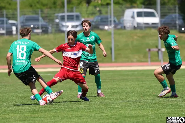 Das Finale gegen Neusiedl wurde zur klaren Angelegenheit für Pinkafeld. | Foto: HTL Pinkafeld/Josef Gruber
