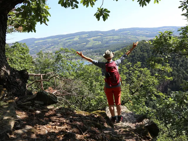 Geierwand Stubenberg | Foto: (c)WEGES_GeierwandwegSeeBlick