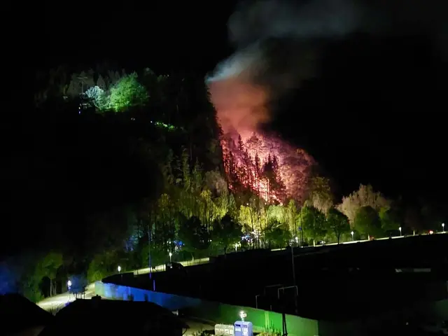 100 Einsatzkräfte kämpften gegen Waldbrand in Mürzzuschlager Au