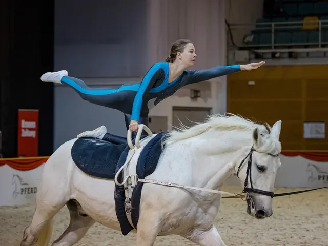 Sportarten wie das Voltigierer werden live präsentiert. | Foto: Michael Graf