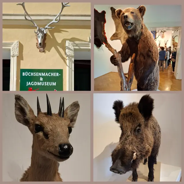 Büchsenmacher- und Jagdmuseum | Foto: Lach