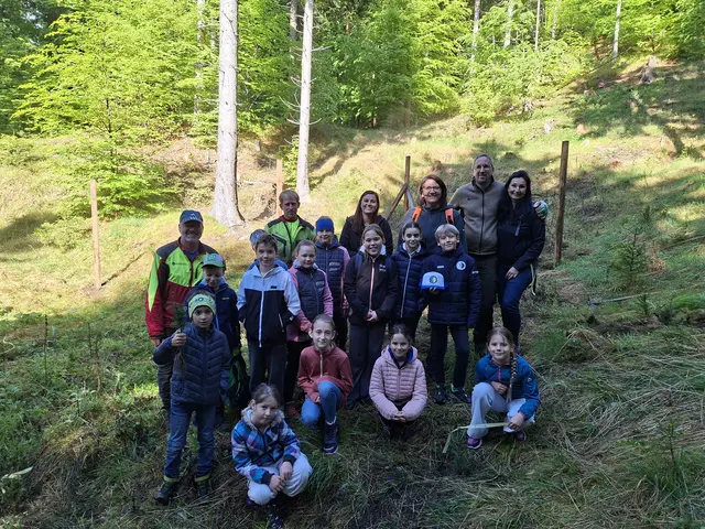 Die Volksschule Weissbriach beim Bäume pflanzen | Foto: Privat