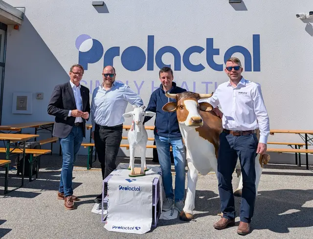 Hartbergs Bürgermeister Marcus Martschitsch, CEO Eduard Croitoru, Projektleiter Günther Jöstl und Werksleiter Harald Krobath (v. l.) | Foto: Prolactal
