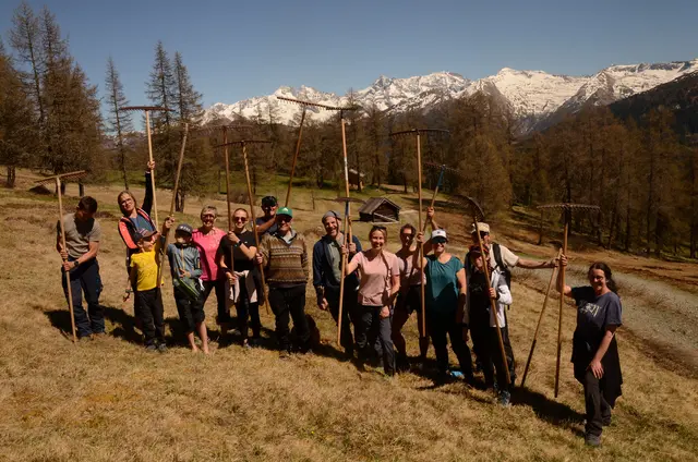 Auf den Flächen von Alfred Fili kamen Freiwillige aus ganz Tirol zusammen, um die Wiesen von Ästen zu säubern. | Foto: Schutzgebietsbetreuung Stubaier Alpen-Wipptal