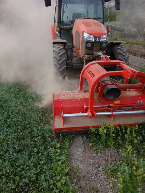 Trotz der schwierigen Wetterlage arbeiten die Gemüsebaubetriebe daran, die Qualität ihrer Produkte weiterhin zu sichern. | Foto: Deiser