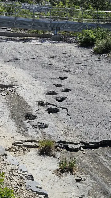Dinospuren wurden ebenfalls entdeckt.  | Foto: Chorgemeinschaft Voices
