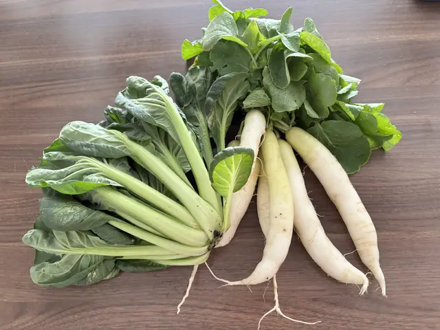 Auch alte Radieschensorten oder Pak Choi - Produkte, die im Supermarktregal oft keinen Platz finden - sind in wöchentlichen Gemüsekiste. 