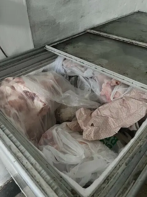 Rund um die Friedmanngasse wurde Fleisch direkt auf der Straße abgeladen (Symbolfoto). | Foto: Gruppe Sofortmaßnahmen
