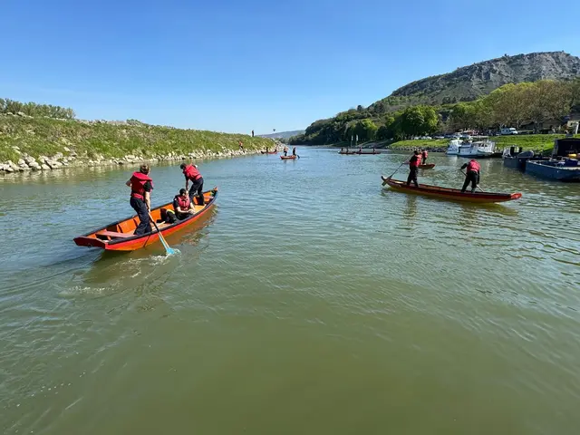 Zillen auf der Donau