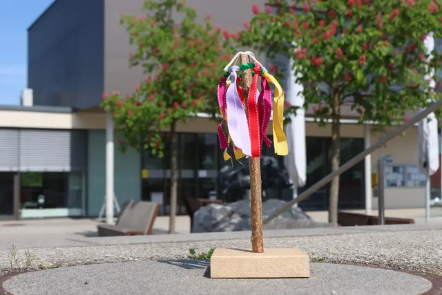 Kleinster Maibaum Oberösterreichs in Eberstalzell