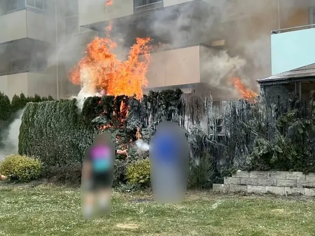 Die Hecke stand bereits in Vollbrand.