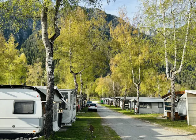 Foto: Klaus Kogler