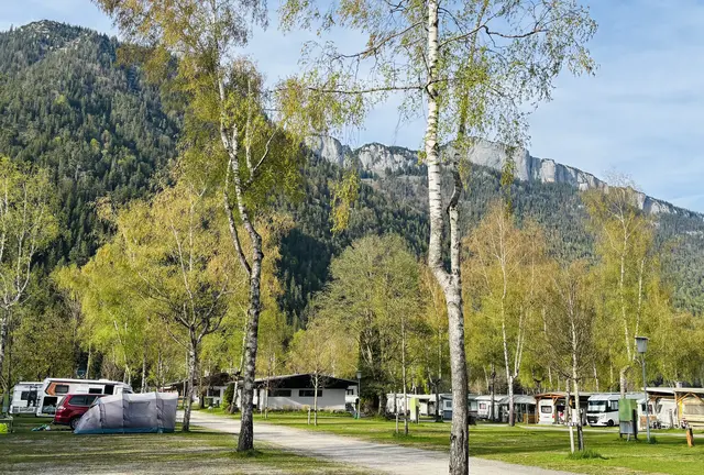 Foto: Klaus Kogler