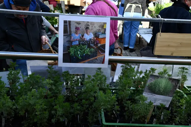 Foto: Erika Ganglberger