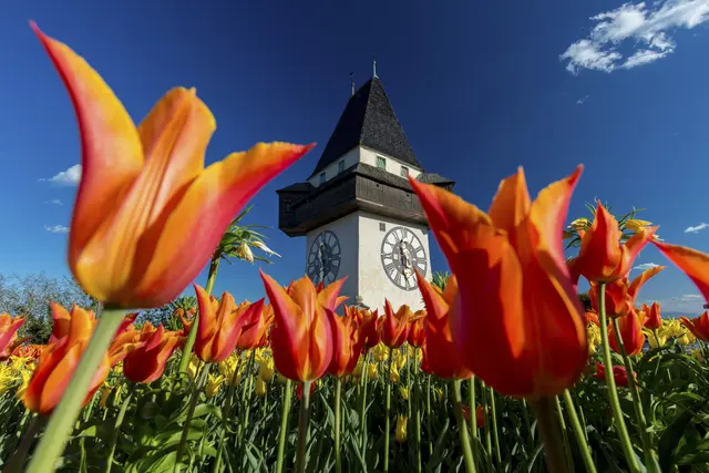 Die Liste der meistbesuchten Ausflugsziele (mit Bezahl-Eintritt) wird erneut vom Grazer Schlossberg angeführt. | Foto: STG | Harry Schiffer