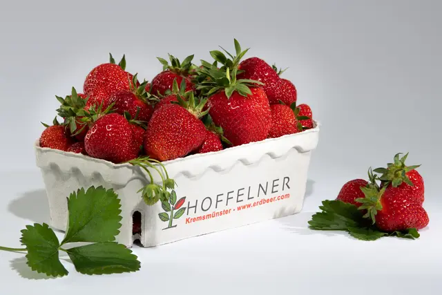 Foto: Hoffelner