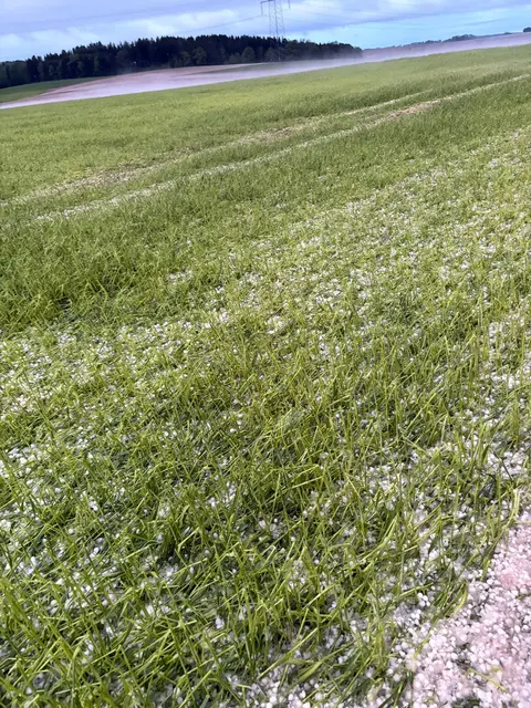 Foto: Hagel_OÖ
