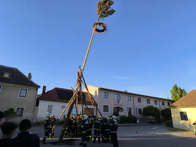 Traditionelles Maibaumaufstellen in Feuersbrunn