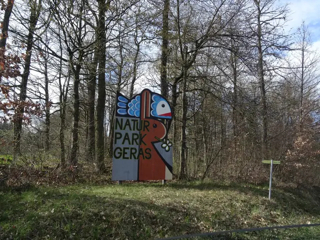 Im Naturpark Geras stand im Rahmen des Projekts „Tierschützling 2026“ alles im Zeichen der Fledermäuse.