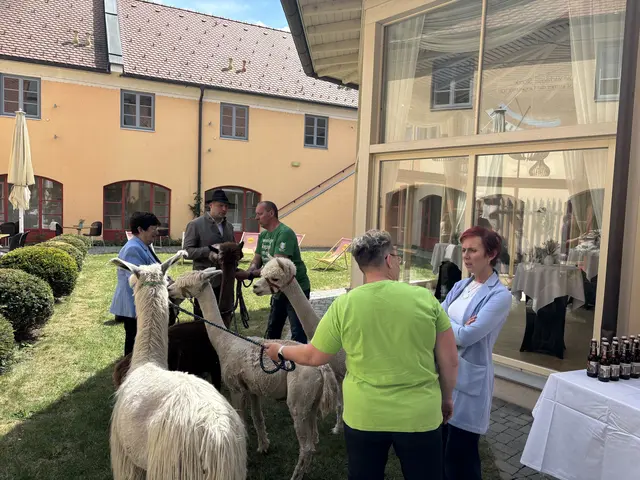 Foto: MeinBezirk/Posch