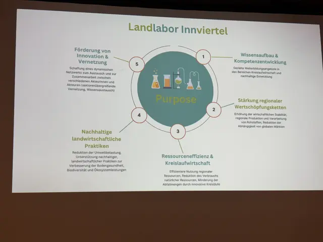 Foto: MeinBezirk/Anja Kern