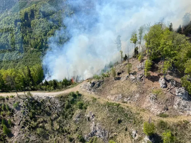 Der Mensch ist zum Großteil für Waldbrände direkt oder indirekt verantwortlich. Ein Bild vom Einsatz in Eisbach-Rein in Graz-Umgebung. | Foto: BFV Voitsberg