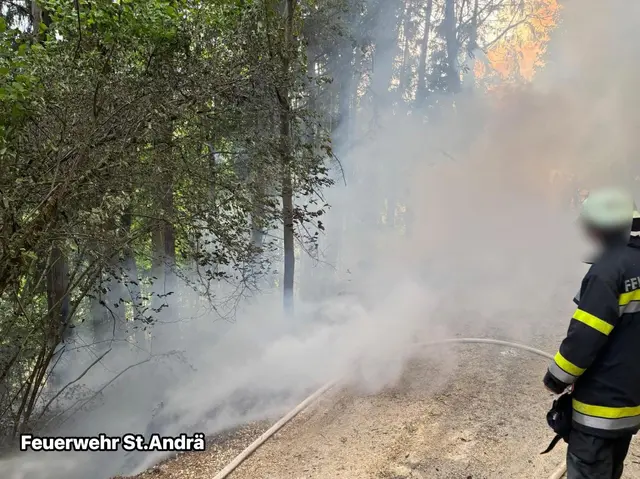 Zu einem Waldbrand wurden insgesamt sieben Feuerwehren aus dem Lavanttal gerufen. | Foto: Feuerwehr St.Andrä im Lavanttal