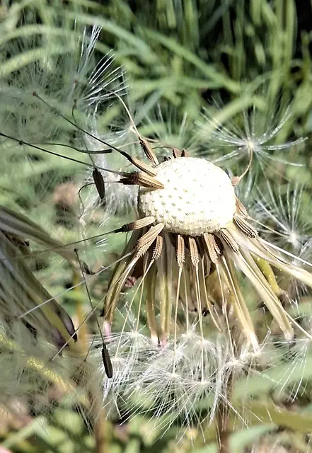 Buntgemischtes aus Althofen