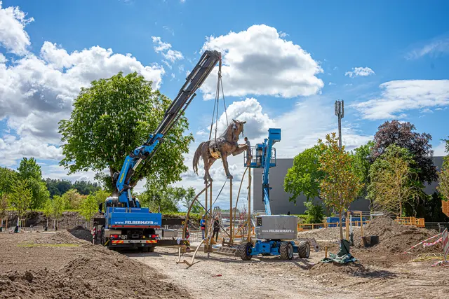 Mit einem Kran wurde der 16-Tonnen-Koloss aufgestellt. | Foto: Stadt Wels
