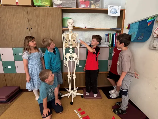 Das neue Schulskelett „Oskar“ unterstützt die Schülerinnen und Schüler der Volksschule Schwoich beim anschaulichen Lernen des menschlichen Körpers im Sachunterricht. | Foto: Volksschule Schwoich