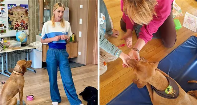Fin, der Therapiehund, wird zum Liebling - er schenkt neue Lebensqualität