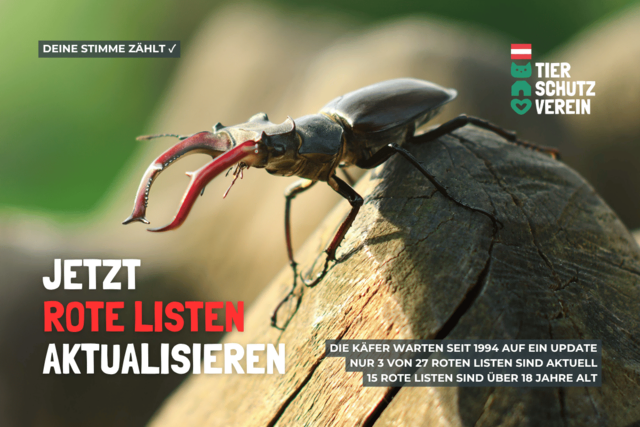Foto: Österreichischer Tierschutzverein