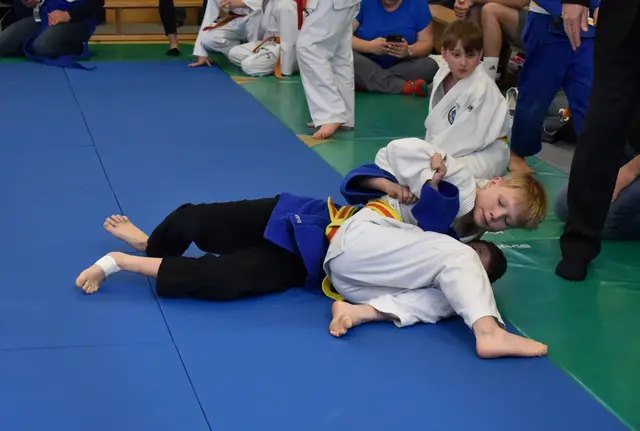 Gold und Bronzemedaille für JUDO Luftenberg!