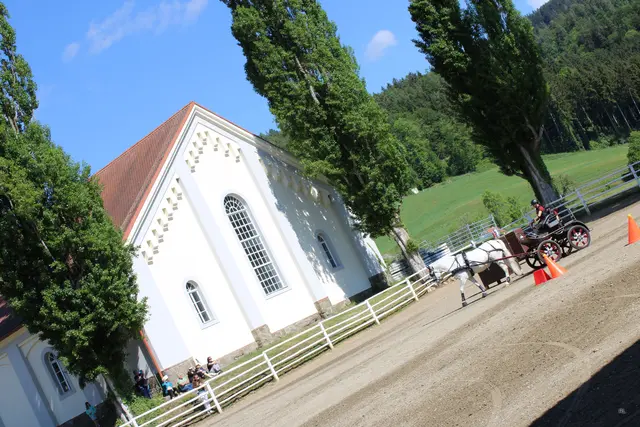 Foto: René Lederer